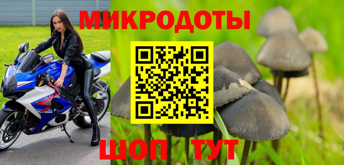 Галлюциногенные грибы GOLDEN TEACHER Бор